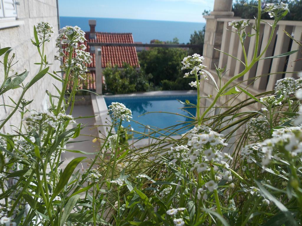 Guesthouse Villa Klaic Dubrovnik Bagian luar foto